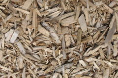 biomass boilers Plushabridge